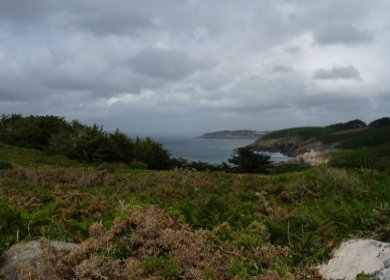Douarnenez
